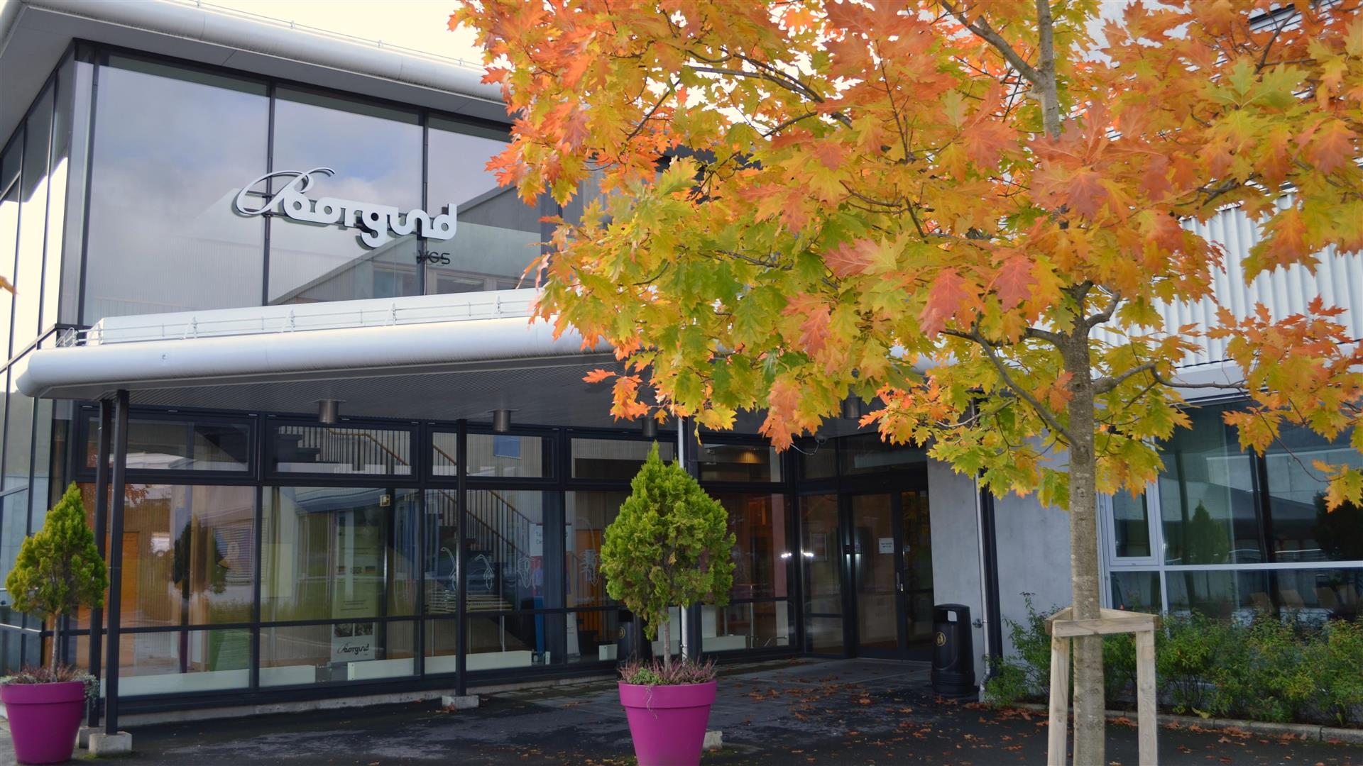 Bilde av hovedinngangen og eit tre i haustfarger med oranje og gule blad